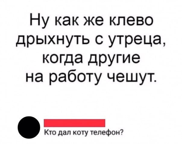 кагда другие чешут)))))))