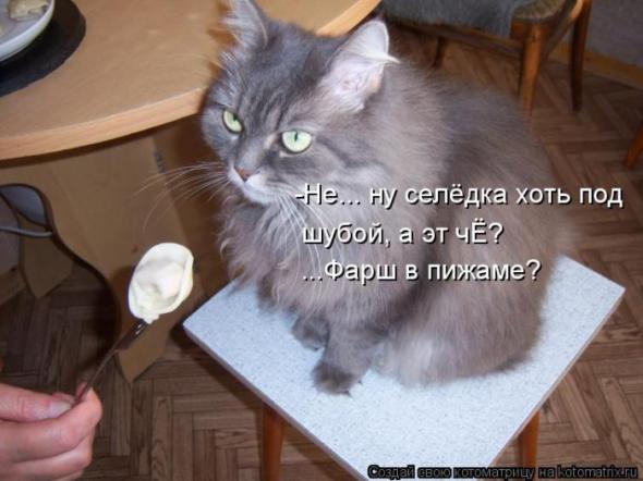 9406848cc3ebb98ea6657b44da6 prev