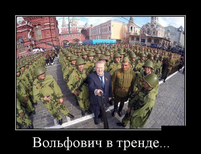 Вольфович в тренде