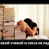 Учеба