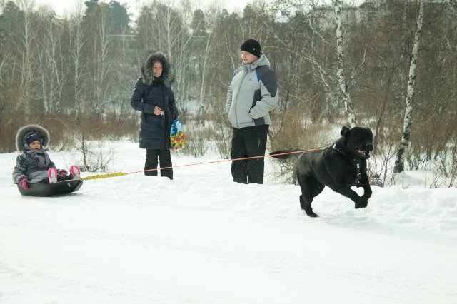 гонки