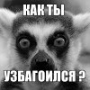 каг ты узбагоился?!!! каг ты узбагоился?!!!