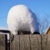 Зимнее солнце Зимнее солнце