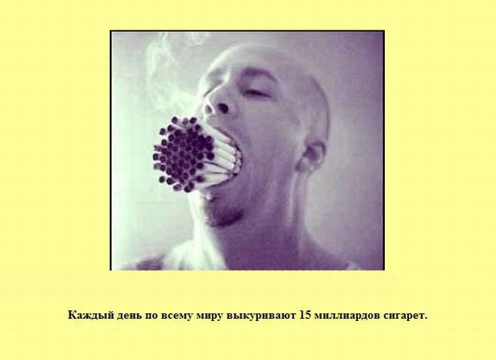 Боцман,тебя сфоткали))