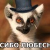 збазиба любездный)))))) збазиба любездный))))))