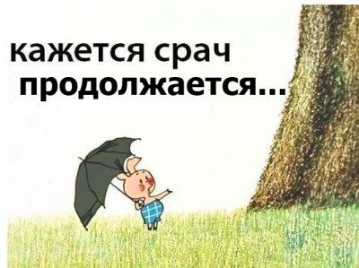 пятачок пятачок