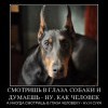 Глаза в глаза Глаза в глаза