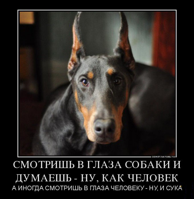 Глаза в глаза