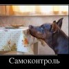 Самоконтроль
