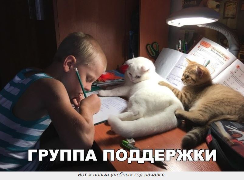 Учебный год
