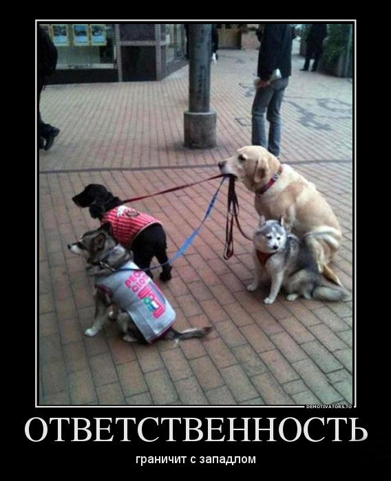 Ответственность