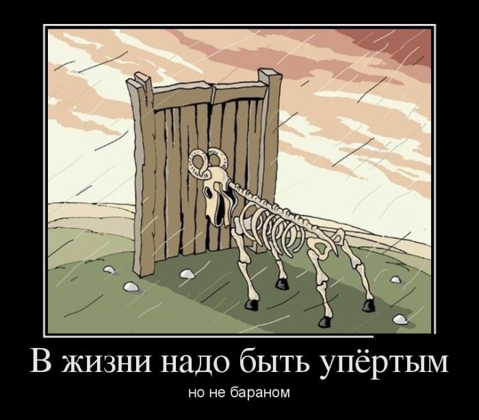 Упёртость