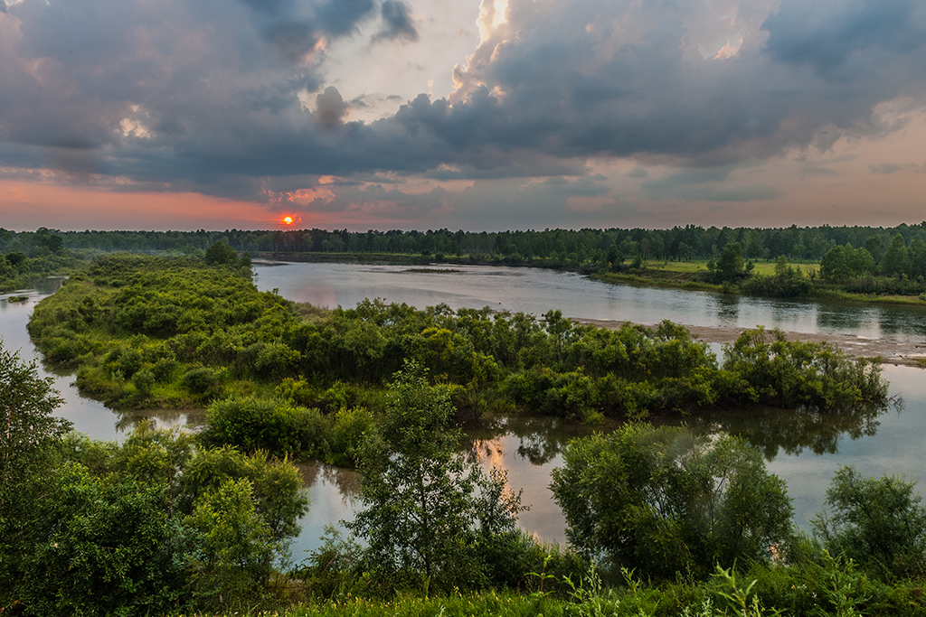 После дождика 31.07.12