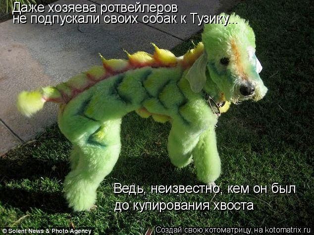 дракоша ..
