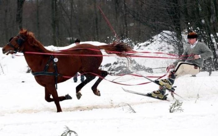 Внедорожник