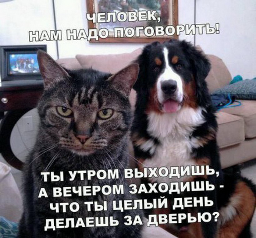 человег нам нада пагаварить))))))