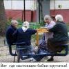 Настоящие бабки Настоящие бабки