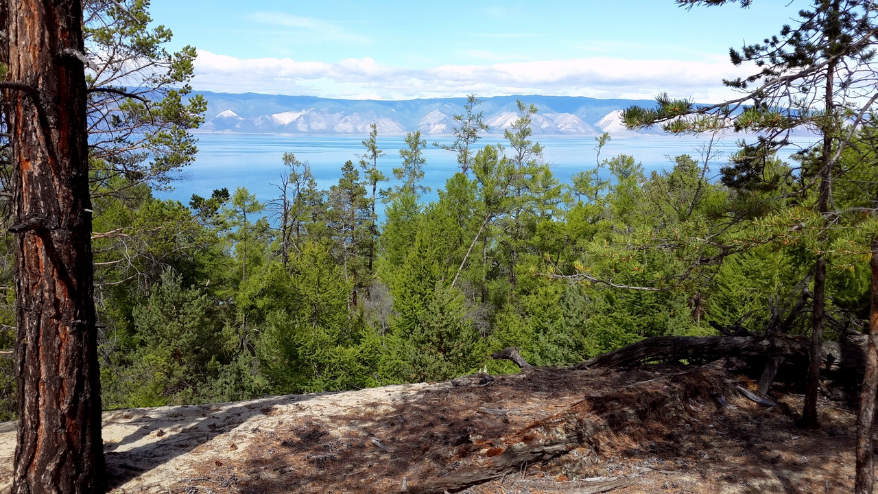 Возненавидеть жизнь можно только вследствие апатии и лени