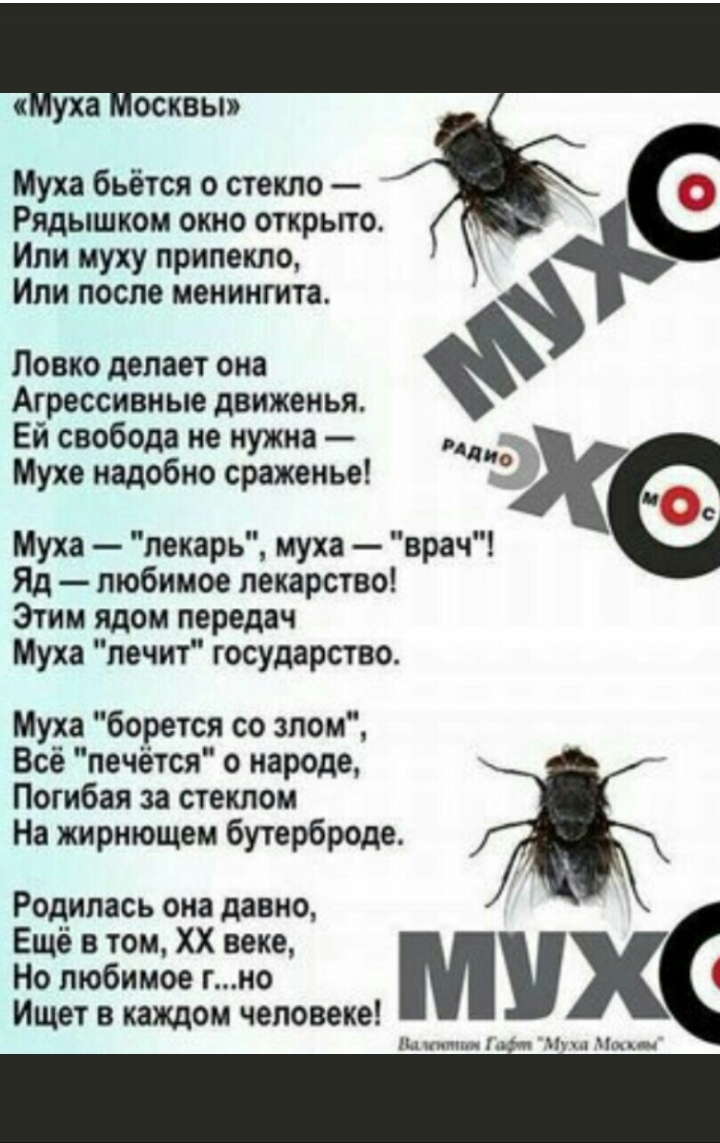 Привет от Гафта.