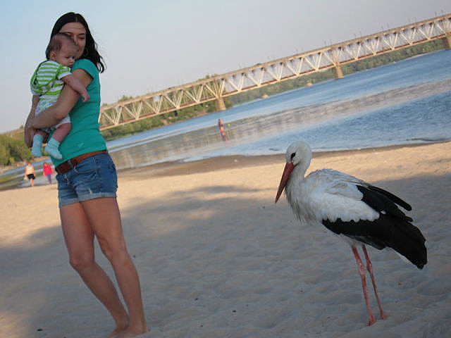 Вот,прилетел проверить как у тебя дела!!! Кормят то хоть хорошо?))