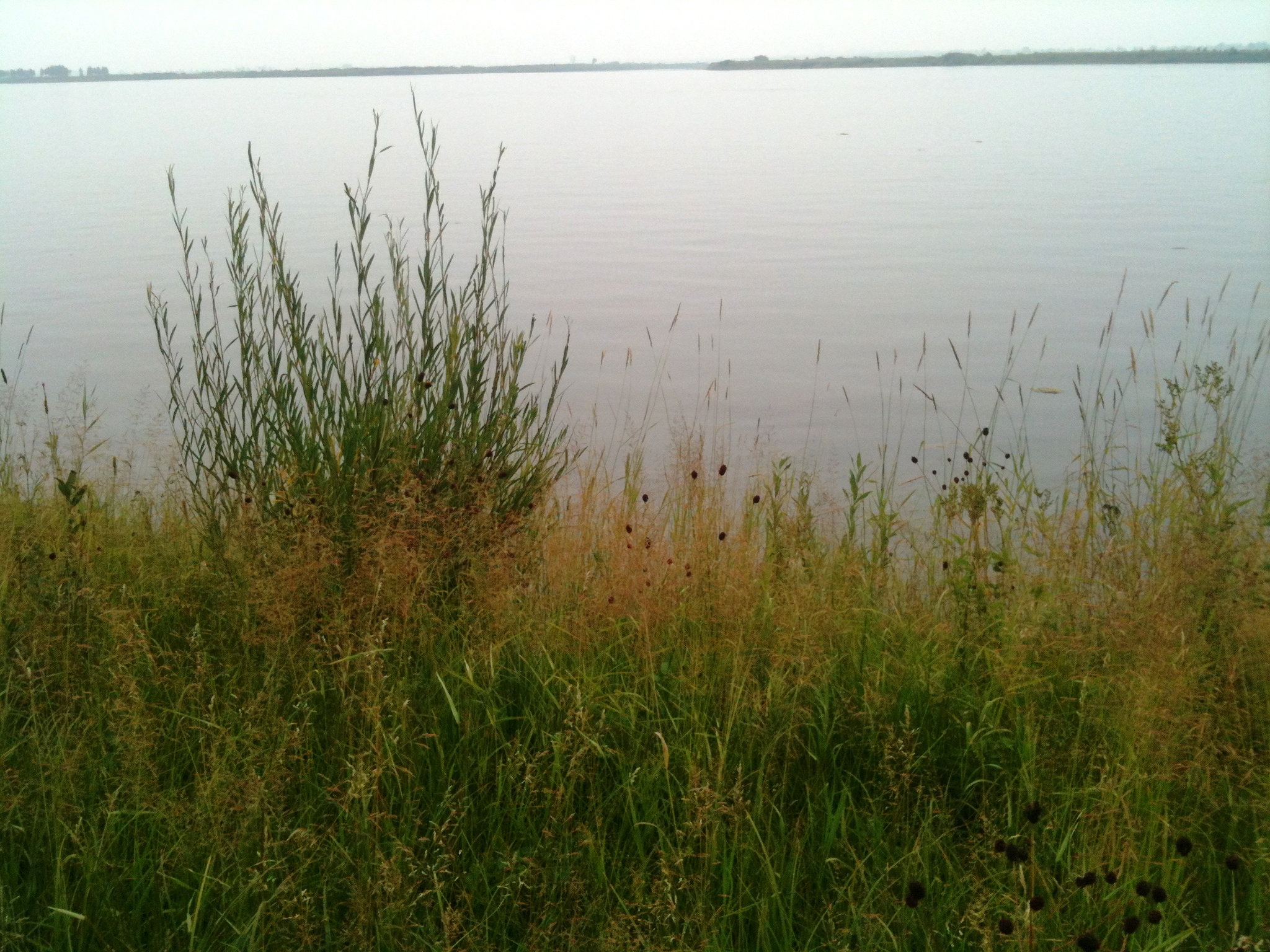  на Ангаре_август 2013