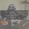Лень