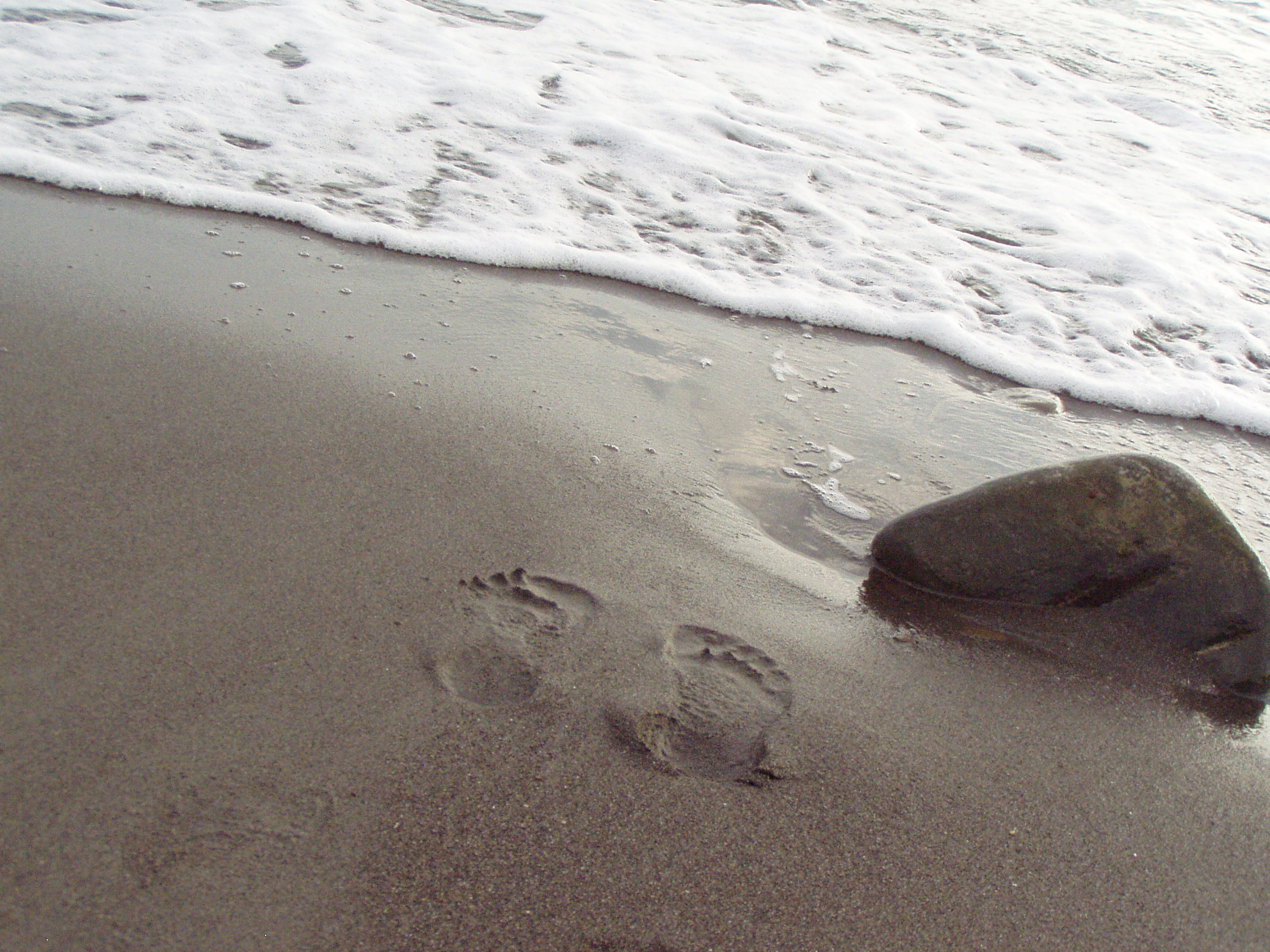 следы неведанных людей...