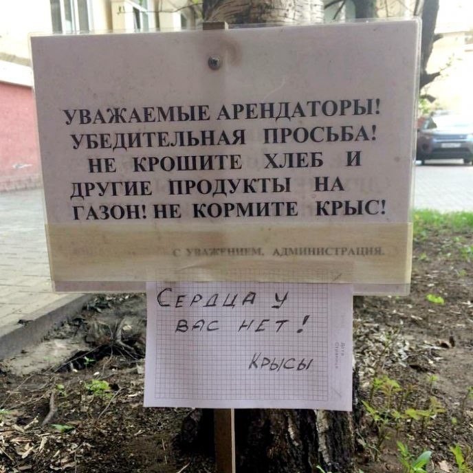 не кормите крыс))))))