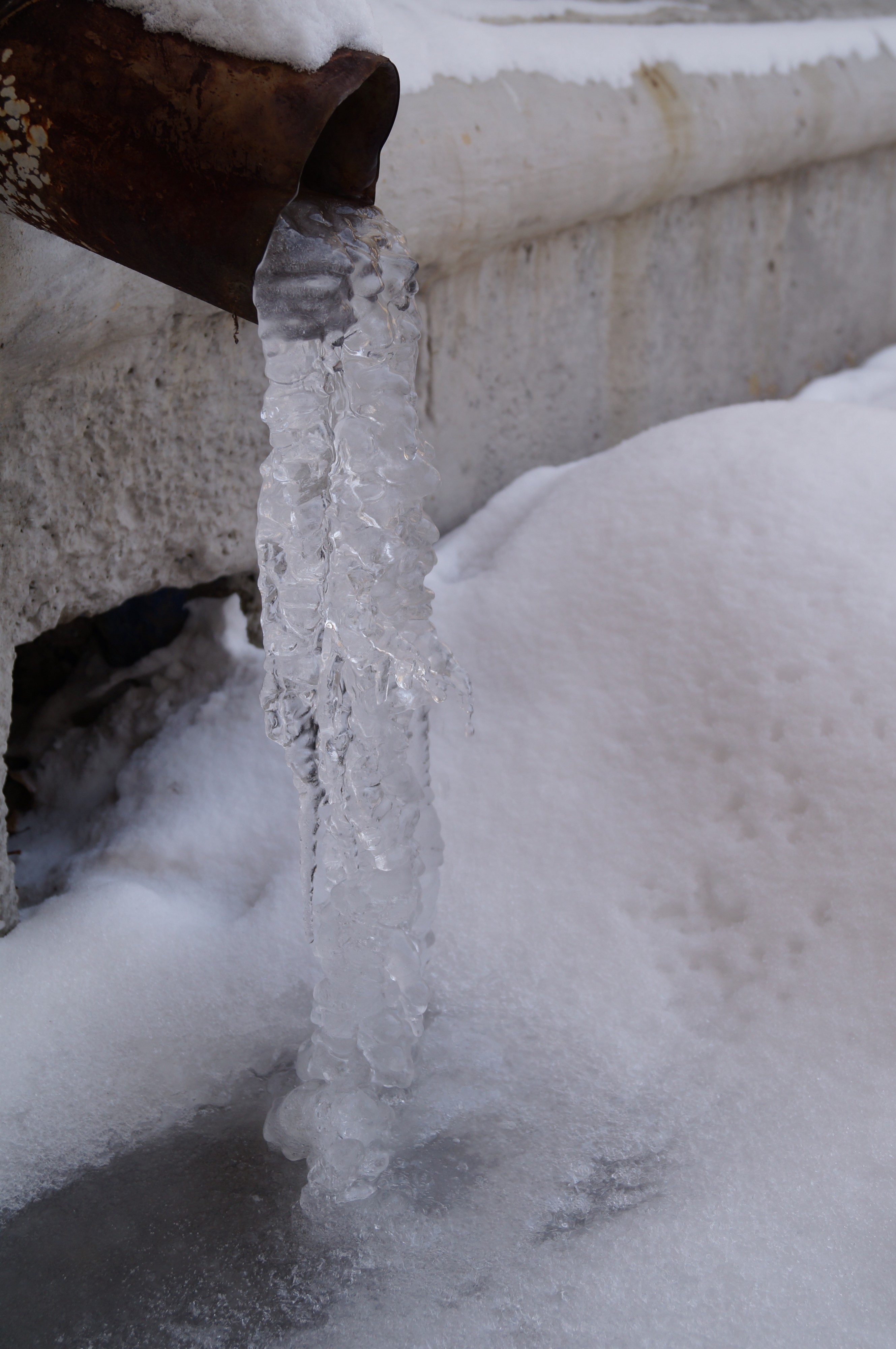 1 января - новогодняя капель