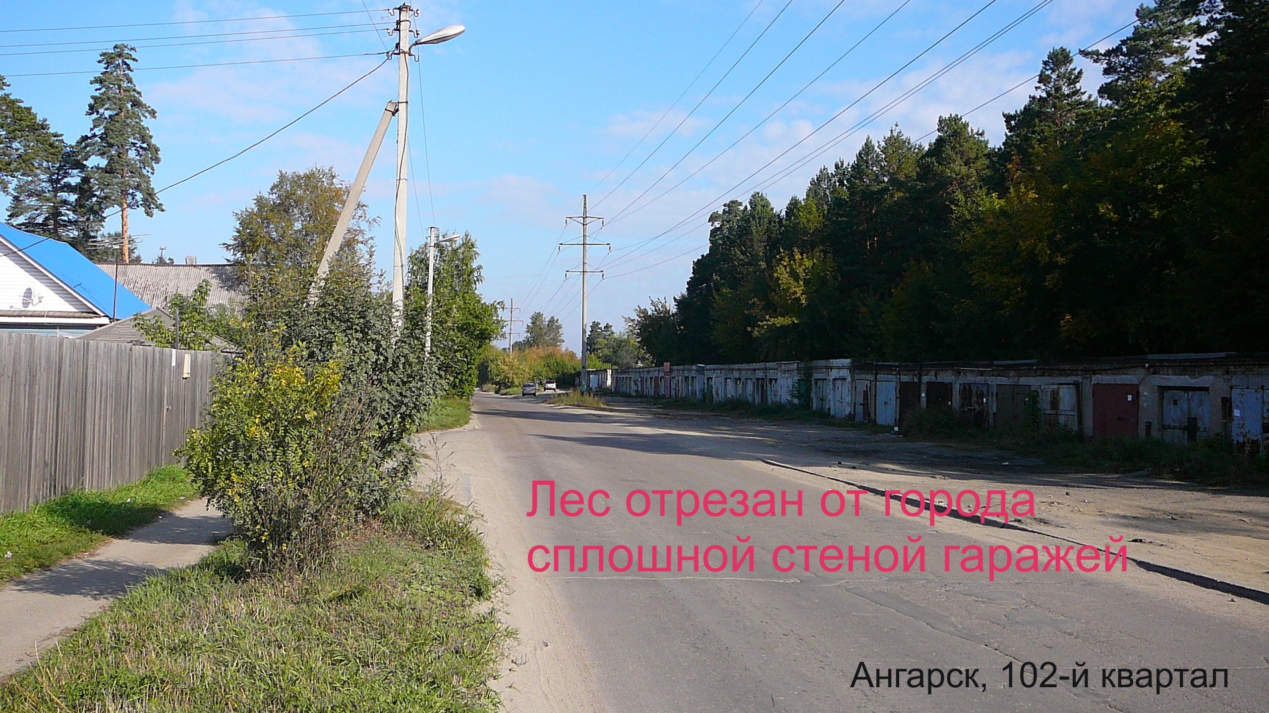 Лес отрезан от города