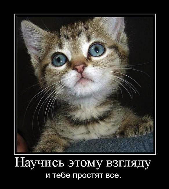Взгляд