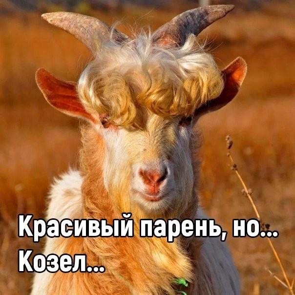 Красивый парень