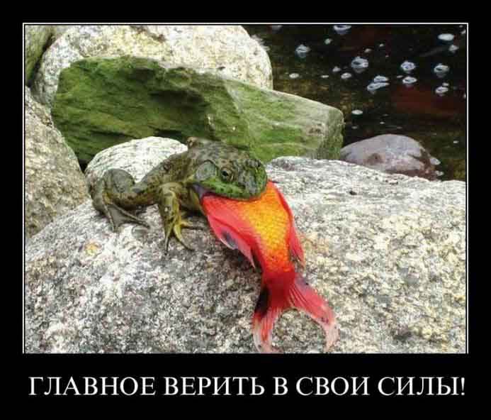 Вера в свои силы
