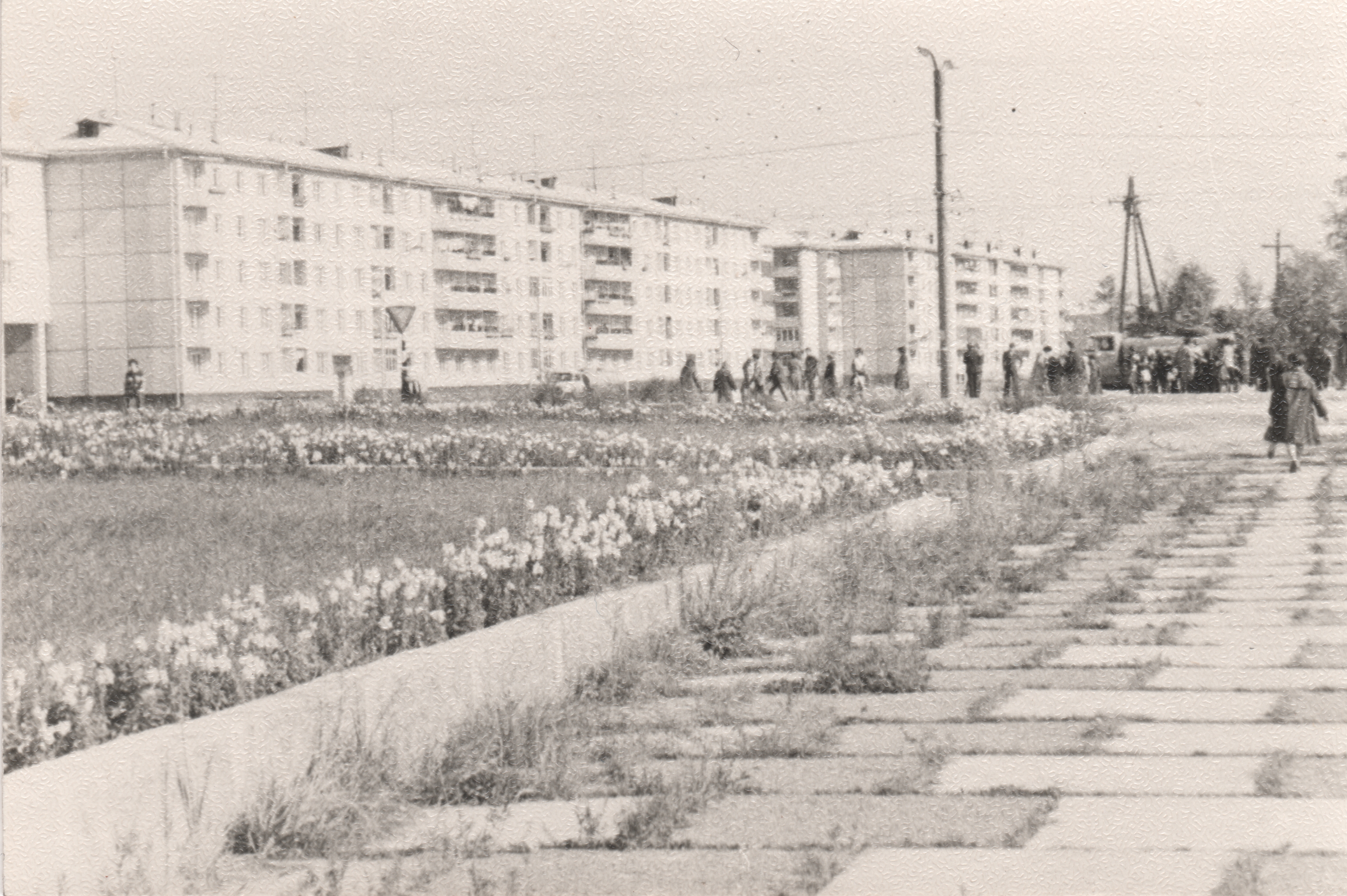 Пересечение Ленинградский проспект и ул. Социалистическая 