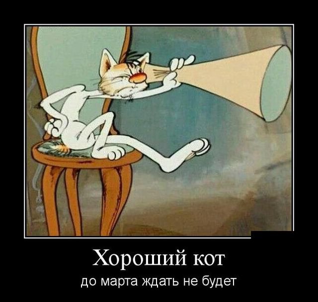 Хороший кот