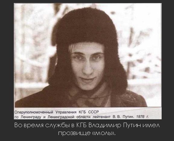 Моль