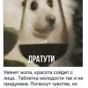 Дратути