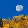 Луна))))) Луна)))))