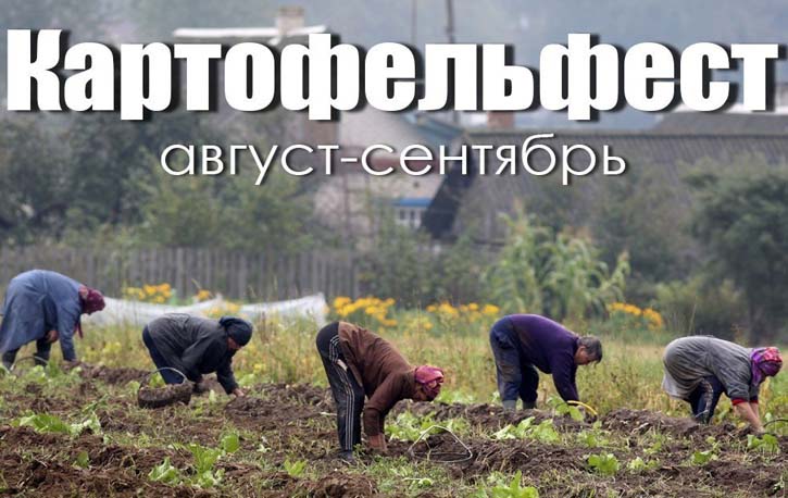 Картофельфест