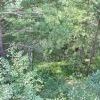 IMG 0805