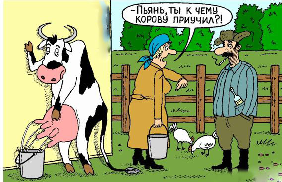 Корова