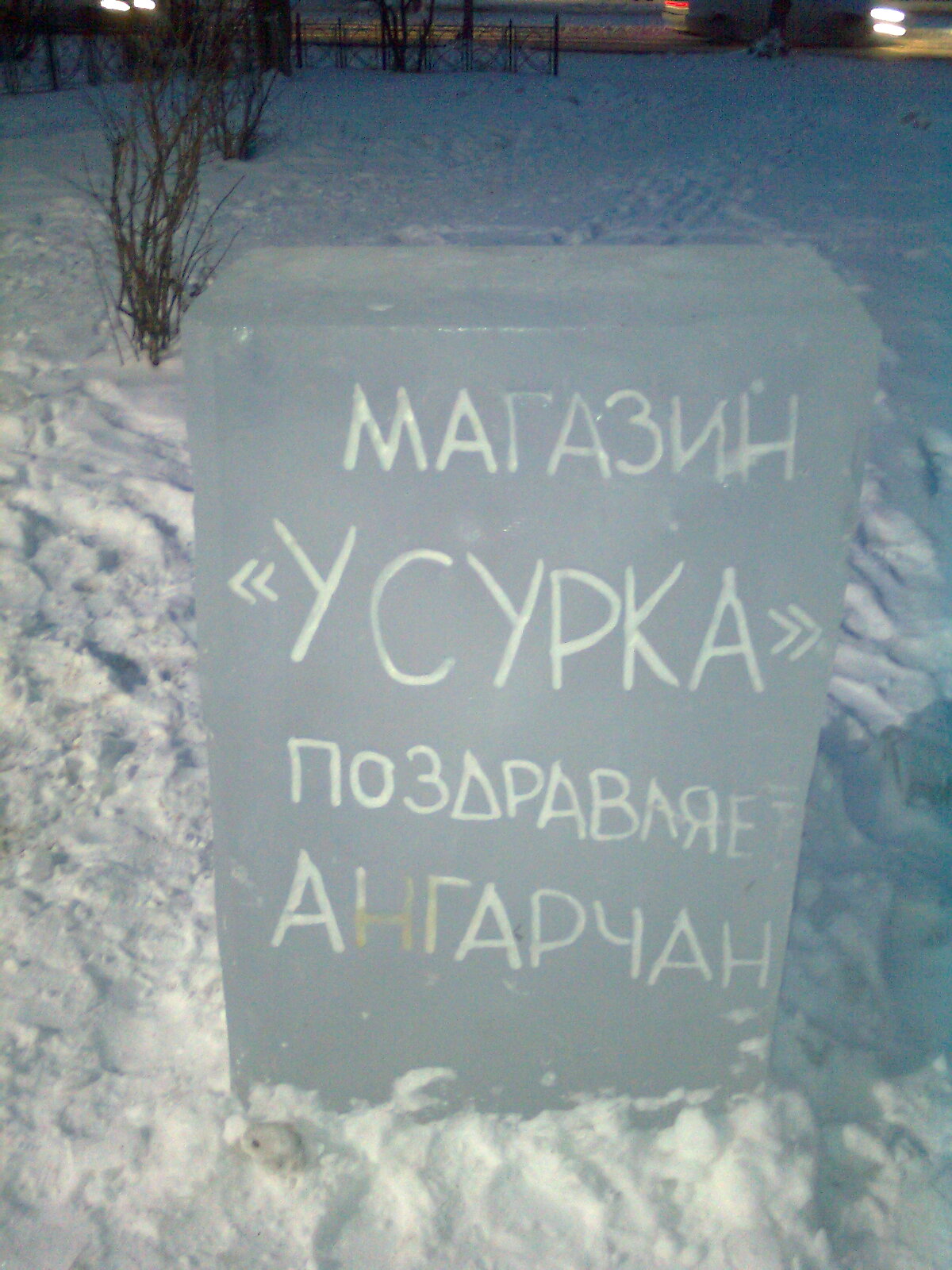 У сурка 