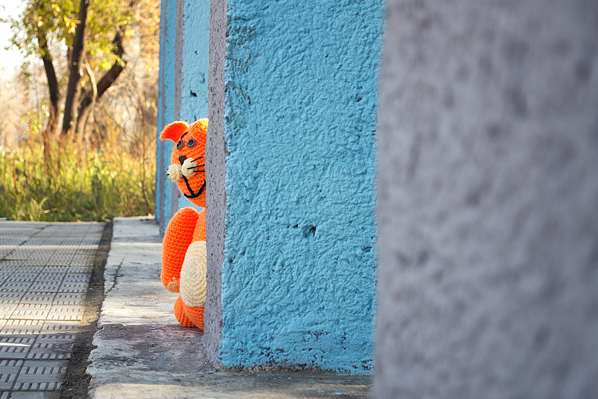 Оранжевый кот