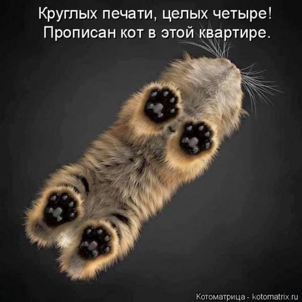 665948e0e215352e5a55611da68 prev