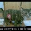 даже он