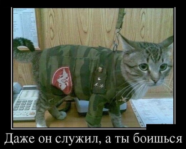 даже он