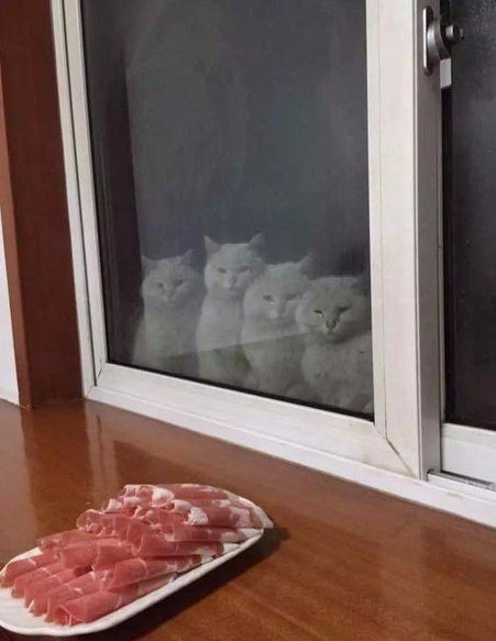 За стеклом