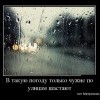 В такую погоду...