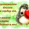 Близко к сердцу