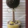 Кофейное деревце счастья Кофейное деревце счастья
